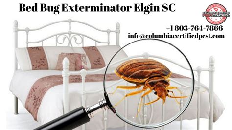 bed bug exterminator columbia sc