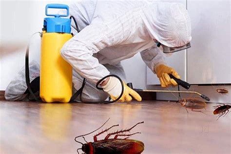 bed bug exterminator nj