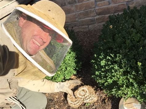 bee exterminator york pa