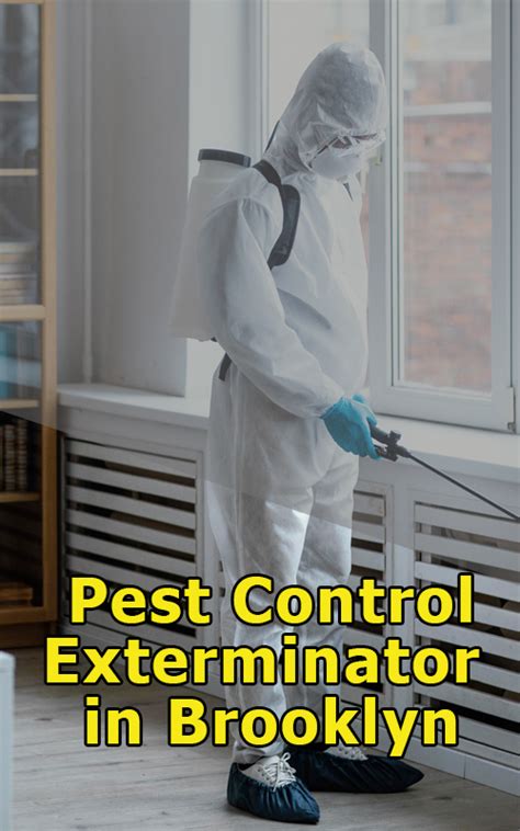 brooklyn heights exterminators