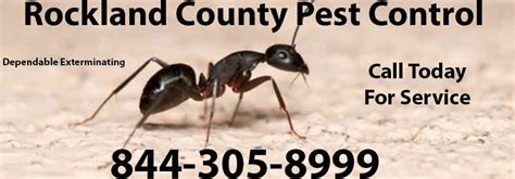 exterminator rockland county