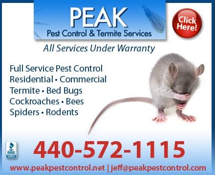 exterminator strongsville ohio