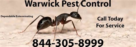 exterminator warwick ny