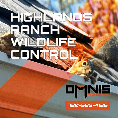 highlands ranch exterminator