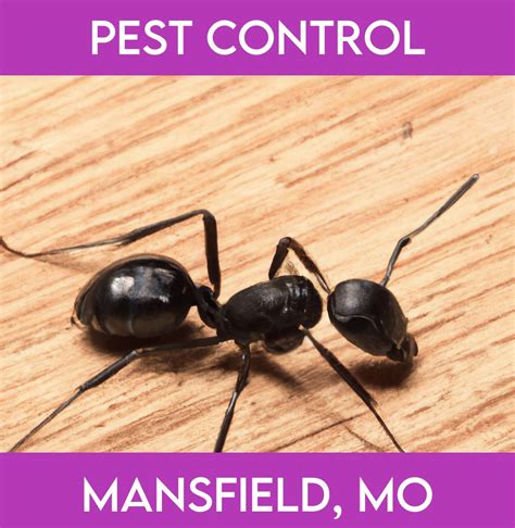 mansfield exterminator