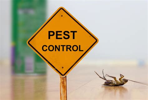 pest exterminator surrey