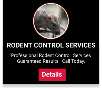 rodent exterminator bucks county